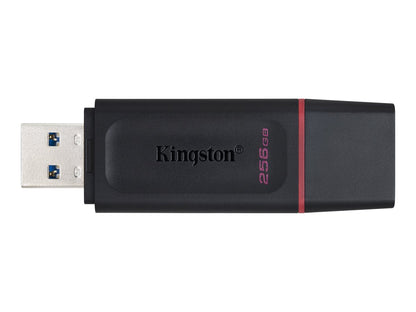 Kingston DataTraveler Exodia 256GB